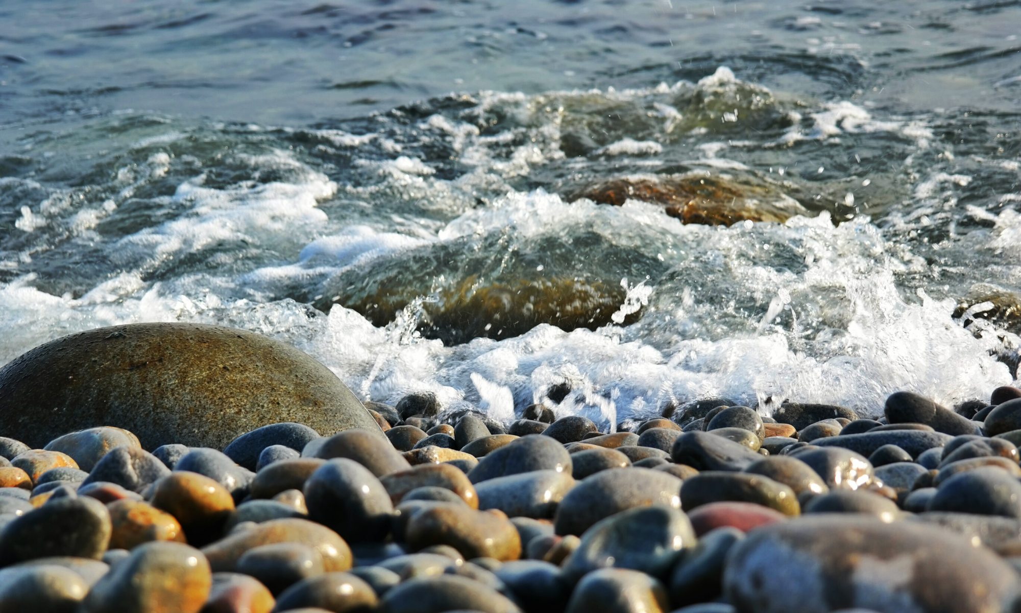 Pasión por el Software Libre