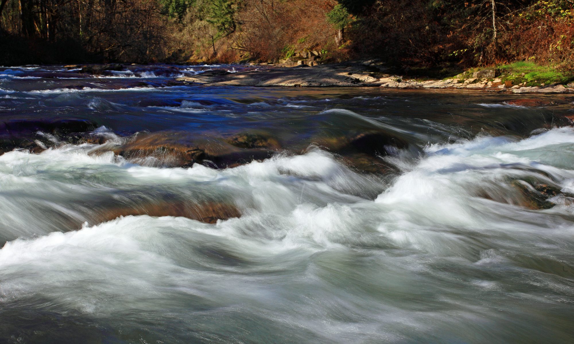 Pasión por el Software Libre